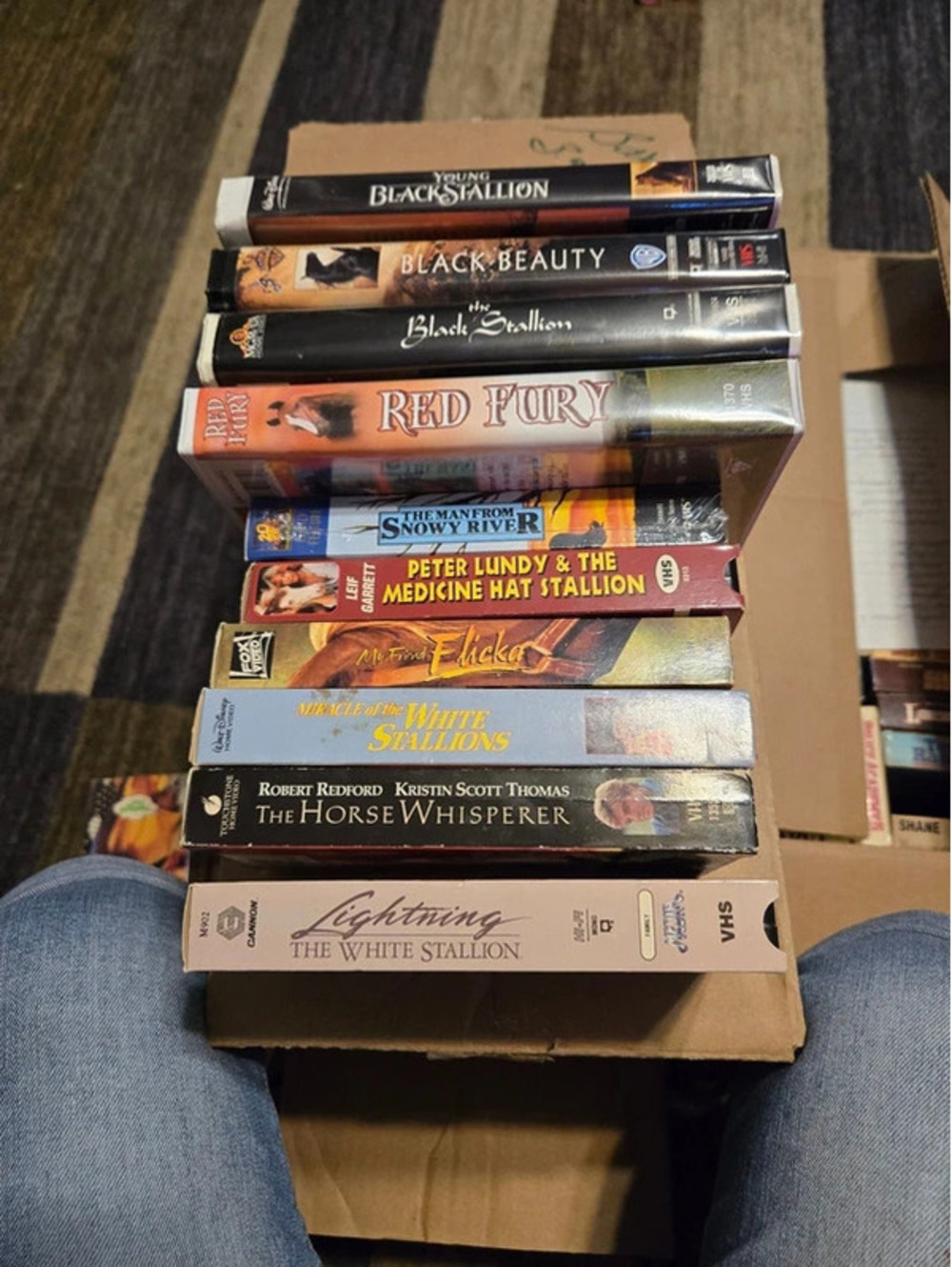 Lot of 10 Horse-Themed Classic Drama VHS Movies